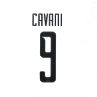 16-17 PSG 3rd UCL NNs,Carvani 9 카바니(파리생제르망)