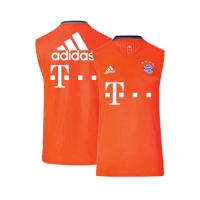 16-17 Bayern Munich Training Sleeve Jersey 바이에른뮌헨