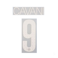 17-18 PSG 3rd UCL NNs,Carvani 9 카바니(파리생제르망)