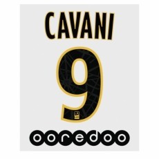 18-19 PSG Away NNs,CAVANI 9 카바니(파리생제르망)